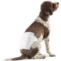 Pañales desechables para perro macho , Talla L y Talla XS (paquete de 50), Blanco